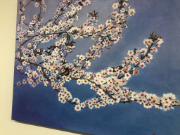 Exposición dia de la mujer 2023